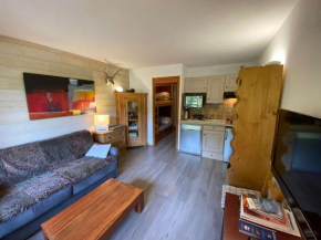 Studio cosy 3 pers au Grand-Bornand proche centre, terrasse, parking - FR-1-241-238